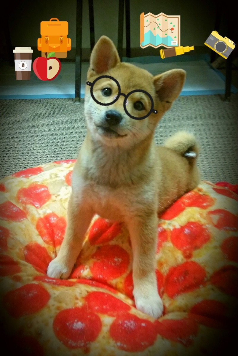 爱游戏官方网站-《DOTA2》战队重组：新阵容亮相与未来展望，dota2各大战队