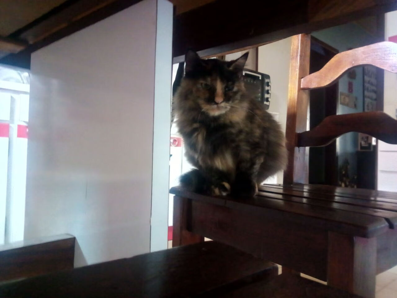 爱游戏平台-《【趋势预测】2025年电竞行业五大潜在变革点》，未来电竞市场前景巨大